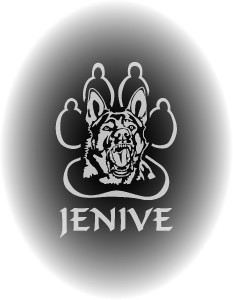 logo-jenive---oval.jpg