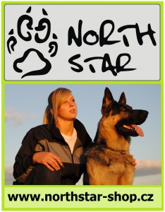 2012-01-north-star.jpg